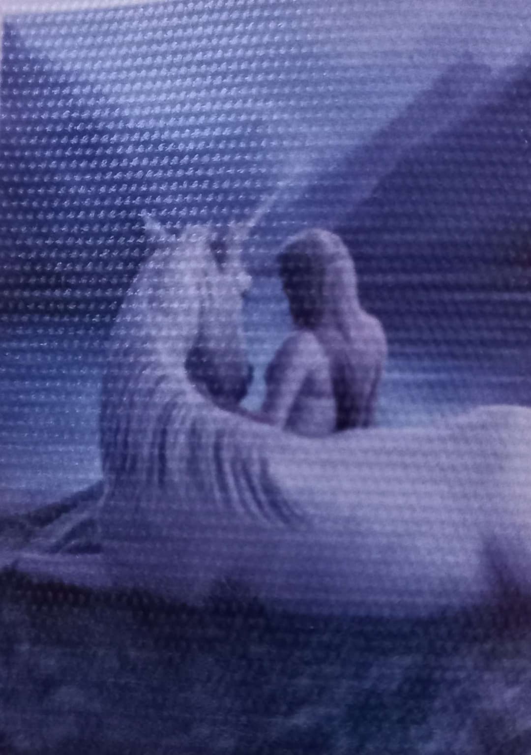 Unicorn & Girl In Sea